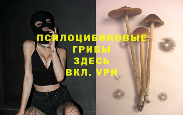 каннабис Верхний Тагил