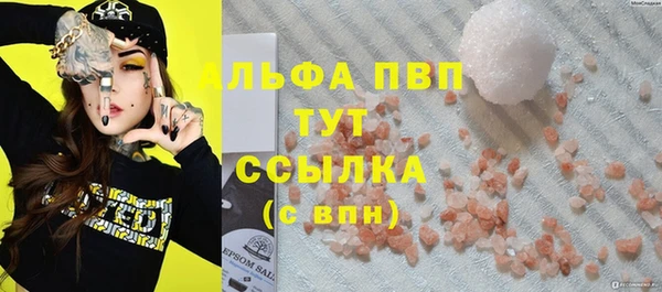 крисы Верея